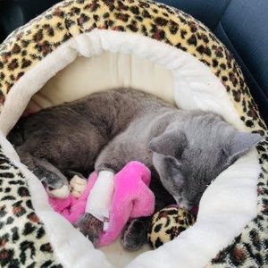 Meet your Posher, Jackie